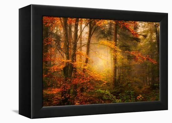 Time Away-Philippe Sainte-Laudy-Framed Premier Image Canvas