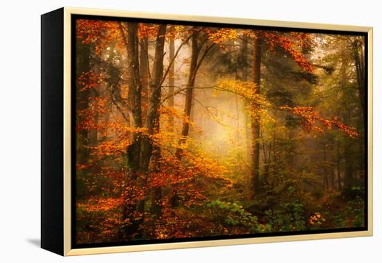 Time Away-Philippe Sainte-Laudy-Framed Premier Image Canvas