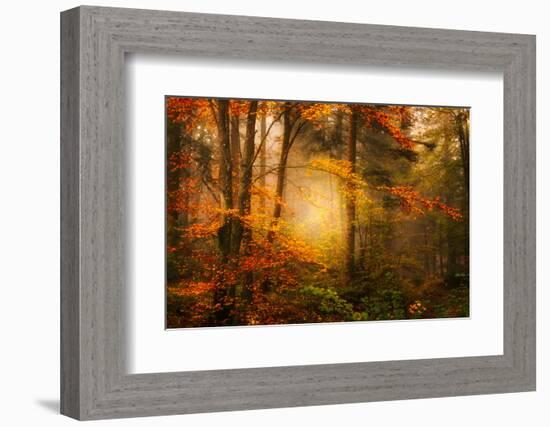 Time Away-Philippe Sainte-Laudy-Framed Photographic Print