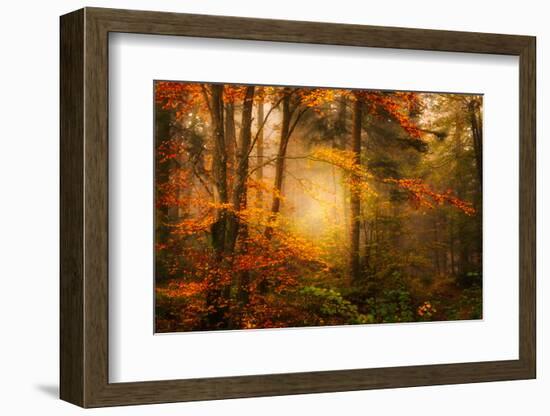 Time Away-Philippe Sainte-Laudy-Framed Photographic Print