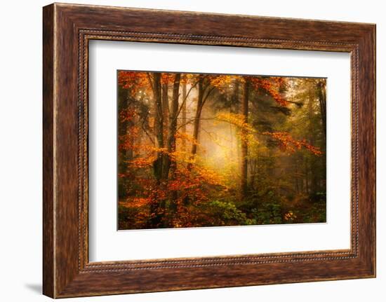 Time Away-Philippe Sainte-Laudy-Framed Photographic Print