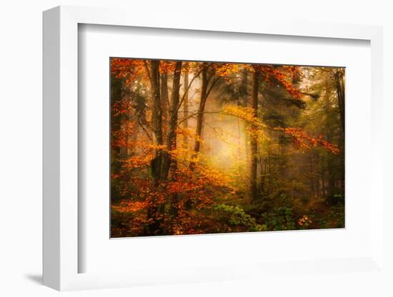 Time Away-Philippe Sainte-Laudy-Framed Photographic Print