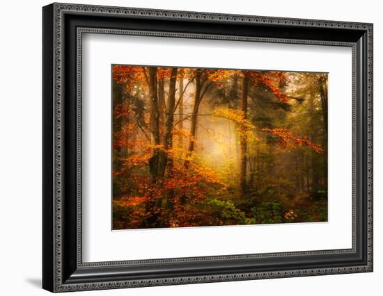 Time Away-Philippe Sainte-Laudy-Framed Photographic Print