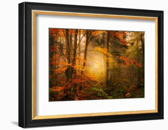 Time Away-Philippe Sainte-Laudy-Framed Photographic Print