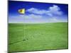 Time Elapsed Golf Shot-null-Mounted Photographic Print