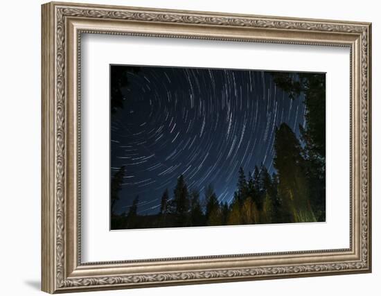 Time Lapse Photograph Showing Star Trails Above the Forest Near Lake Tahoe, California-James White-Framed Photographic Print