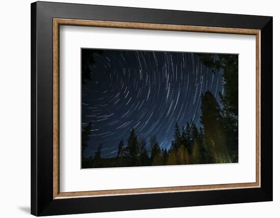 Time Lapse Photograph Showing Star Trails Above the Forest Near Lake Tahoe, California-James White-Framed Photographic Print