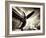 Time Machine-Stephen Arens-Framed Photographic Print