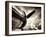 Time Machine-Stephen Arens-Framed Photographic Print