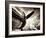 Time Machine-Stephen Arens-Framed Photographic Print