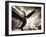 Time Machine-Stephen Arens-Framed Photographic Print