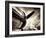 Time Machine-Stephen Arens-Framed Photographic Print