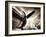 Time Machine-Stephen Arens-Framed Photographic Print