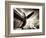 Time Machine-Stephen Arens-Framed Photographic Print