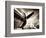 Time Machine-Stephen Arens-Framed Photographic Print