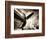 Time Machine-Stephen Arens-Framed Photographic Print