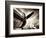 Time Machine-Stephen Arens-Framed Photographic Print