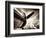 Time Machine-Stephen Arens-Framed Photographic Print