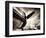 Time Machine-Stephen Arens-Framed Premium Photographic Print