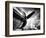 Time Machine-Stephen Arens-Framed Premium Photographic Print