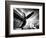 Time Machine-Stephen Arens-Framed Premium Photographic Print