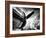 Time Machine-Stephen Arens-Framed Photographic Print