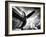 Time Machine-Stephen Arens-Framed Photographic Print