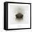 Time Out 1-Carlos Casamayor-Framed Premier Image Canvas