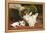 Time to Play, 1886-Charles Burton Barber-Framed Premier Image Canvas