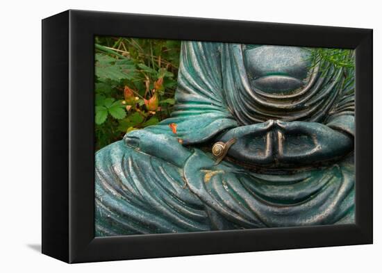 Time to Slow Down-null-Framed Premier Image Canvas