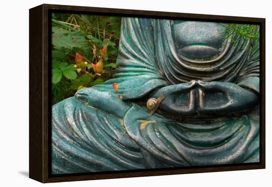 Time to Slow Down-null-Framed Premier Image Canvas
