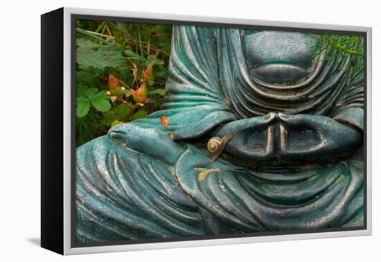 Time to Slow Down-null-Framed Premier Image Canvas