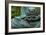 Time to Slow Down-null-Framed Premium Photographic Print