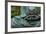 Time to Slow Down-null-Framed Premium Photographic Print