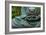 Time to Slow Down-null-Framed Photographic Print