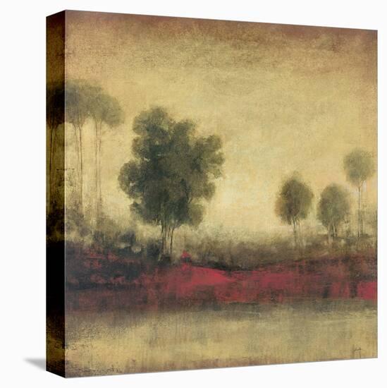 Timeless Equinox II-Douglas-Framed Stretched Canvas