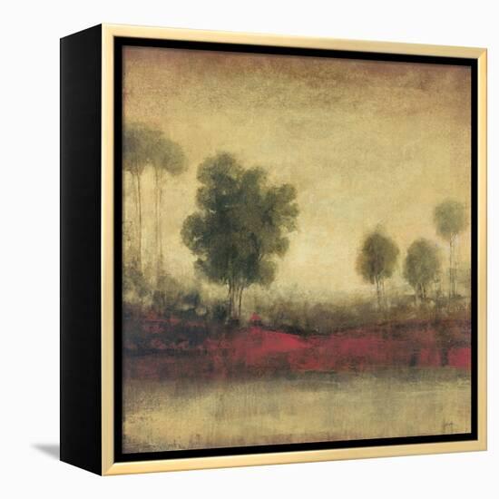 Timeless Equinox II-Douglas-Framed Stretched Canvas