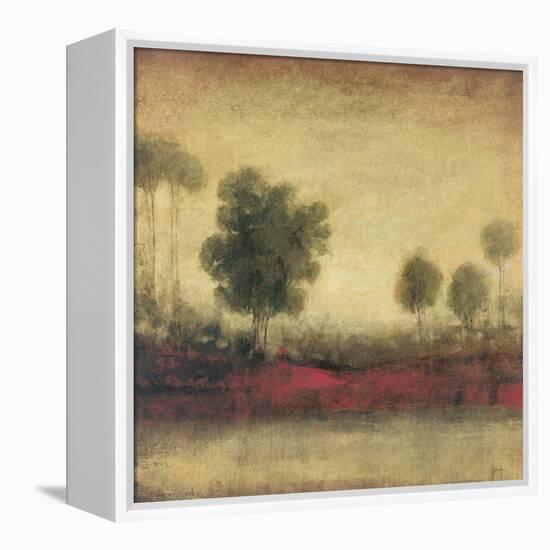 Timeless Equinox II-Douglas-Framed Stretched Canvas