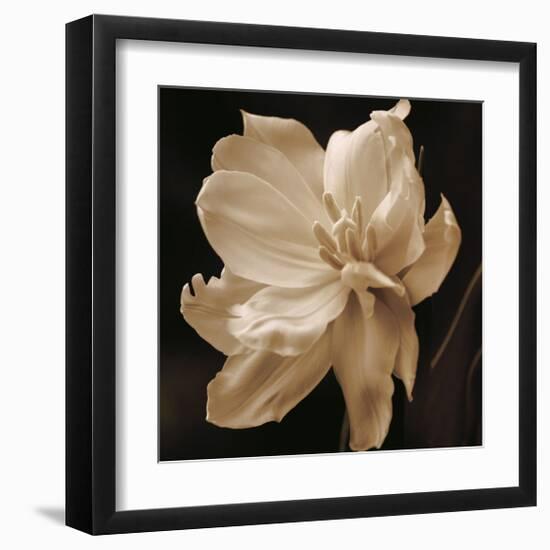 Timeless Grace II-Charles Britt-Framed Giclee Print