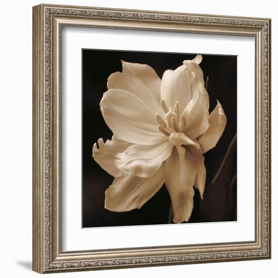 Timeless Grace II-Charles Britt-Framed Giclee Print