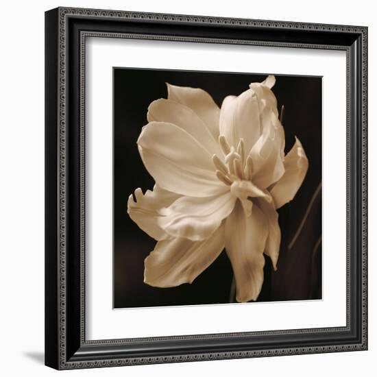 Timeless Grace II-Charles Britt-Framed Giclee Print