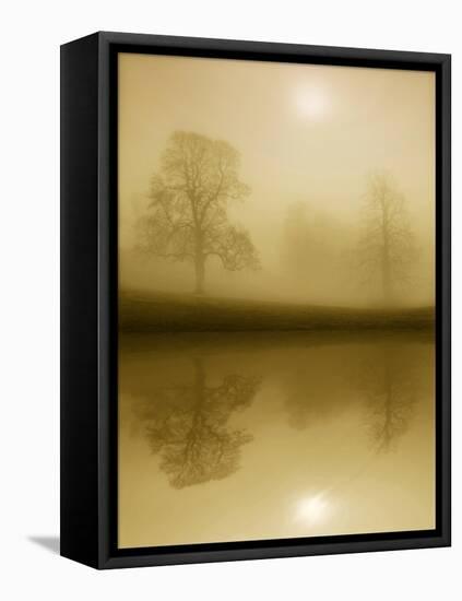 Timeless Winter-Adrian Campfield-Framed Premier Image Canvas