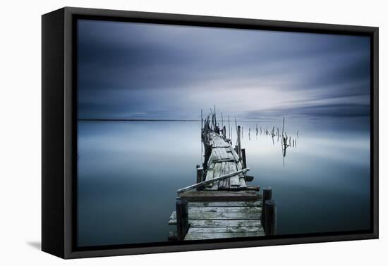 Timeless-Paulo Dias-Framed Premier Image Canvas