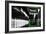 Times Square Subway Green-Susan Bryant-Framed Photographic Print