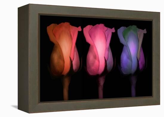 Times Three-Mindy Sommers-Framed Premier Image Canvas