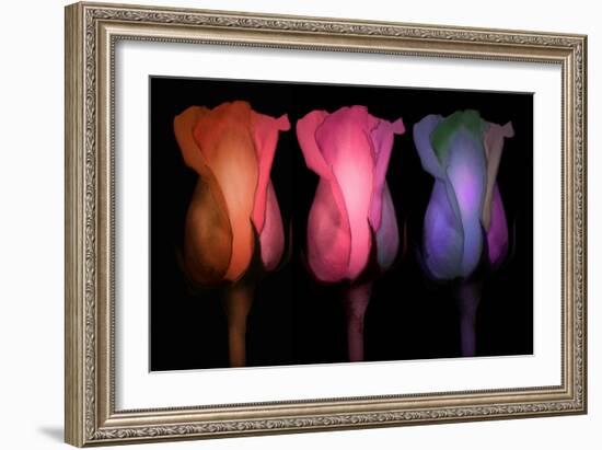 Times Three-Mindy Sommers-Framed Premium Giclee Print