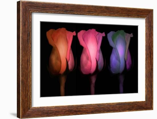 Times Three-Mindy Sommers-Framed Premium Giclee Print