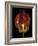 Timid Tulip-Assaf Frank-Framed Giclee Print