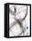 Timing I-Rikki Drotar-Framed Premier Image Canvas