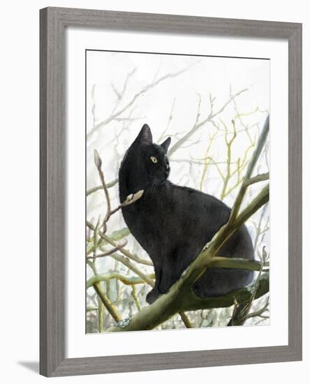 Timmy In Tree-Doris Joa-Framed Giclee Print